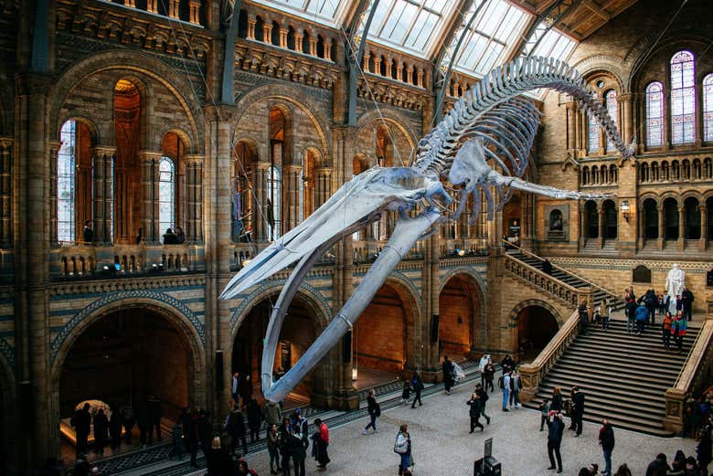 Potrete esplorare il museo a vostro piacimento