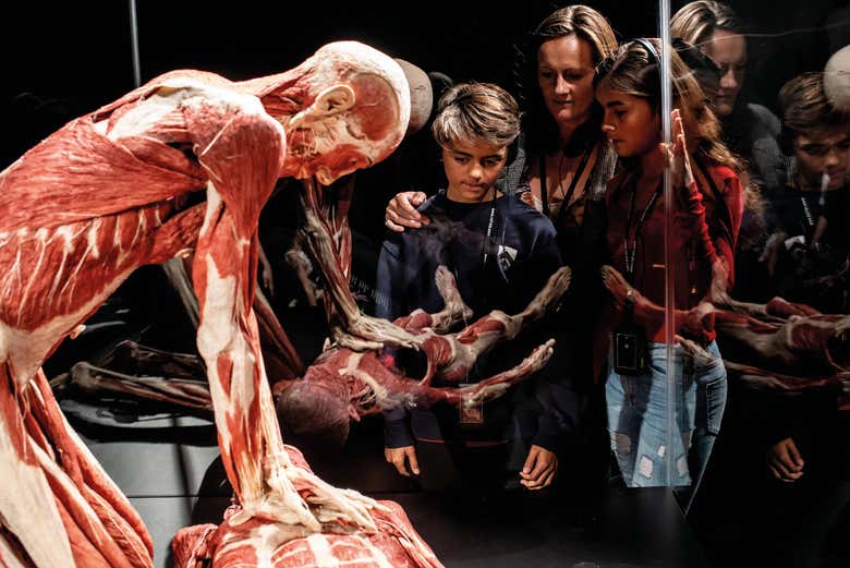 Biglietti per Body Worlds, Londra
