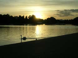 Hyde Park all'alba