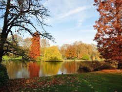 St James Park